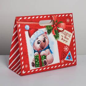 

Пакет с клапаном «Мишутка», 32 х 26 х12 см