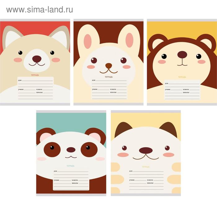 Тетрадь 18 листов в линейку 