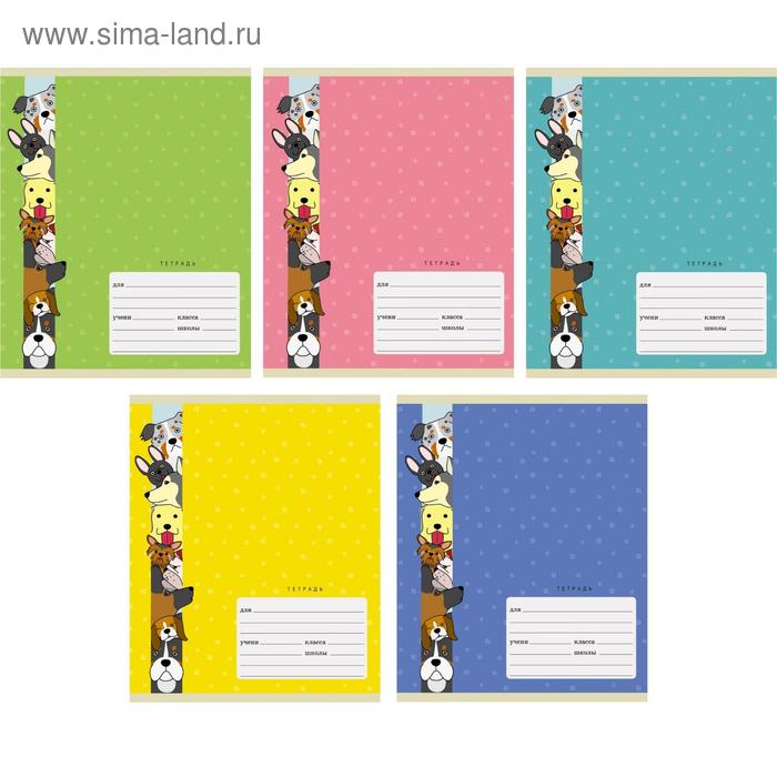 Тетрадь 18 листов в клетку, обложка мелованный картон,