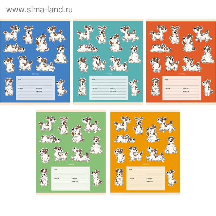 Тетрадь 24 листа в клетку 