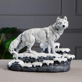 

Мини-бар "Волк", цвет белый, 36 см × 23 см × 28 см