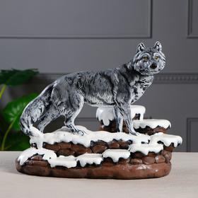 

Мини-бар "Волк", цвет серый, 36 см × 23 см × 28 см