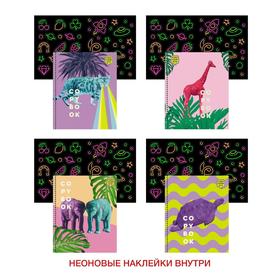 

Тетрадь на гребне, 48 листов в клетку "Дуплекс", обложка мелованный картон, твин-лак, блок офсет