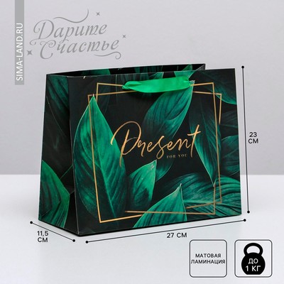 Пакет ламинированный горизонтальный Present for you, S 15 × 12 × 5,5 см