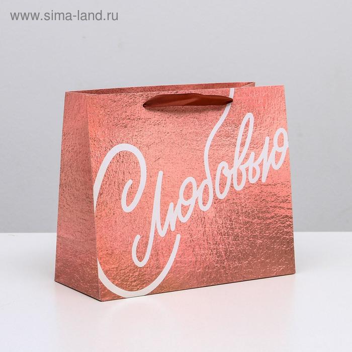

Пакет ламинированный горизонтальный «С Любовью», ML 27 × 23 × 11,5 см