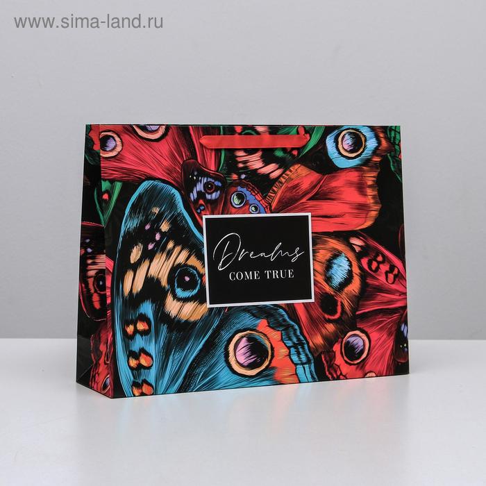 

Пакет ламинированный горизонтальный Dreams come true, L 31 × 40 × 11,5 см