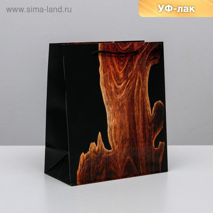 

Пакет ламинированный вертикальный Wood, ML 23 × 27 × 11,5 см