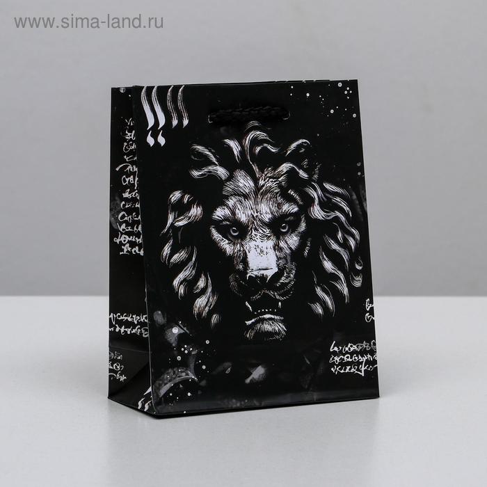 

Пакет ламинированный вертикальный «Царь зверей», S 12 × 15 × 5.5 см