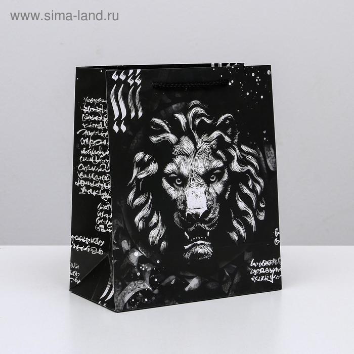 

Пакет ламинированный вертикальный «Царь зверей», ML 23 × 27 × 11,5 см