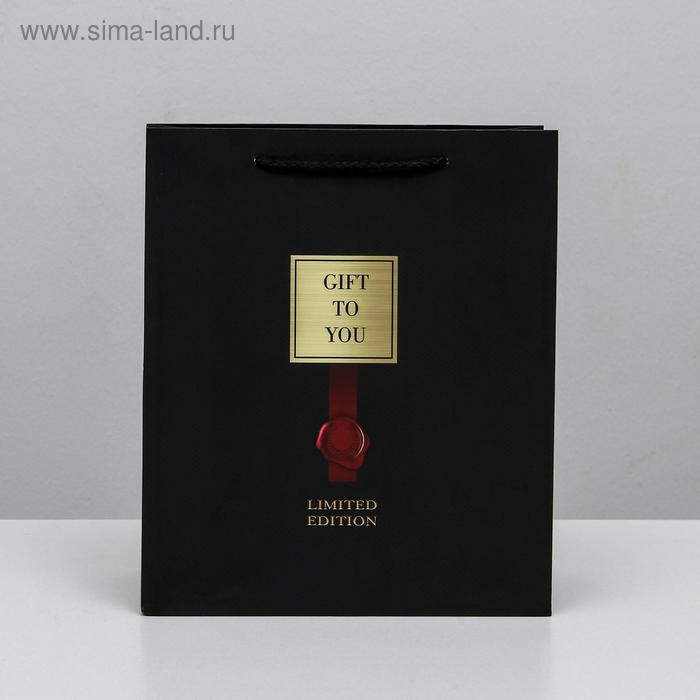 

Пакет ламинированный вертикальный Gift to you, ML 23 × 27 × 11,5 см
