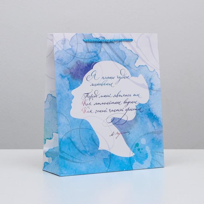 

Пакет подарочный ламинированный вертикальный, упаковка, «Чудное мгновенье», M 26 х 30 х 9 см