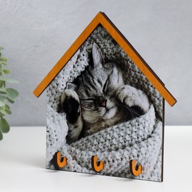 

Ключница открытая "Кот спит" 19х19,5 см