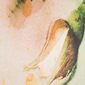 

Тюль Загадка 147х267 +/- 3см, 2шт, шифон, п/э 100%