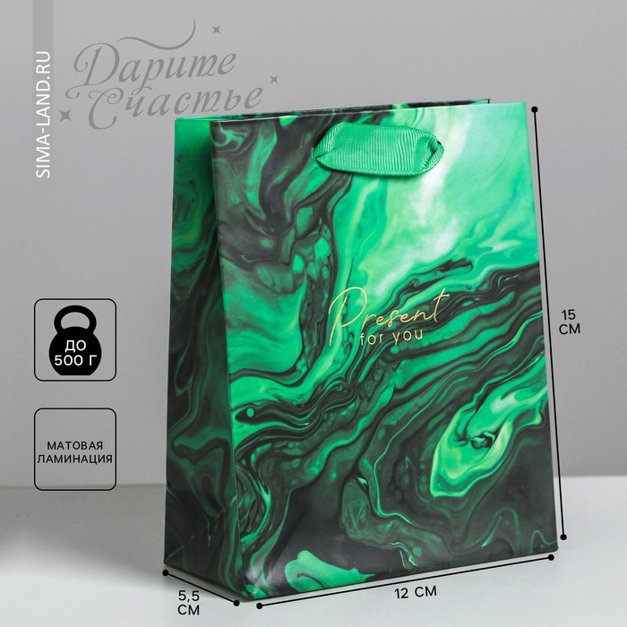 

Пакет подарочный ламинированный вертикальный, упаковка, «Present for you», S 12 х 15 х 5,5 см