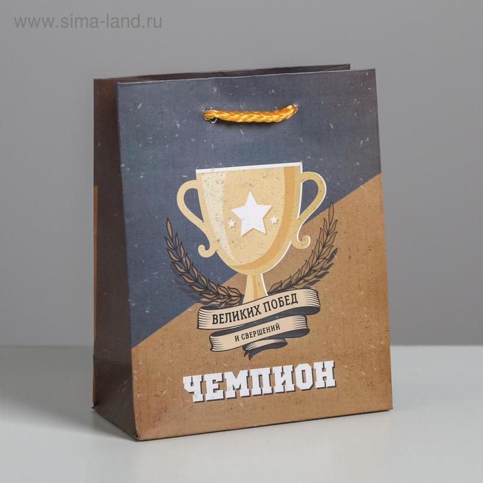 

Пакет ламинированный вертикальный «Чемпиону», S 12 × 15 × 5.5 см