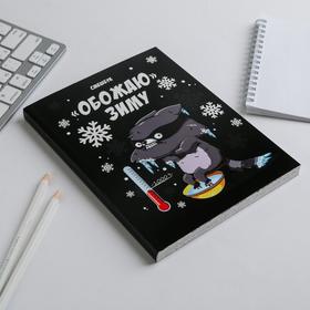 

Ежедневник-смешбук с раскраской «Обожаю зиму»