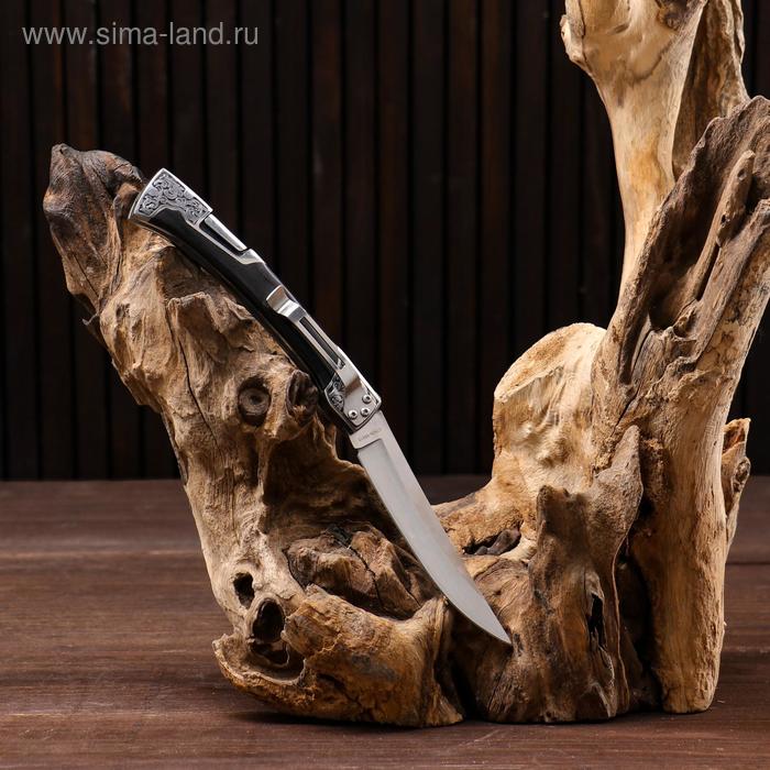фото Нож складной "лань" витязь