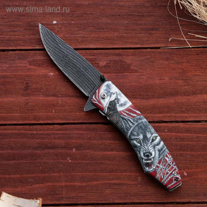 Нож складной Вожак сталь - 95х18, рукоять - венге, 23 см