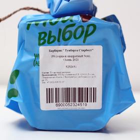 

Барбарис "Тунберга Старбест" Р9 (горшок квадратный 9см) 1 шт, Осень 2021