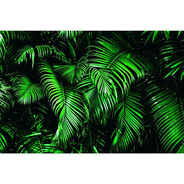Фотобаннер, 300 × 200 см, с фотопечатью, люверсы шаг 1 м, «Зелёные листья» фотобаннер 300 × 200 см с фотопечатью люверсы шаг 1 м большие листья