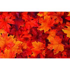 Фотобаннер, 300 × 200 см, с фотопечатью, люверсы шаг 1 м, «Осенние листья» от Сима-ленд
