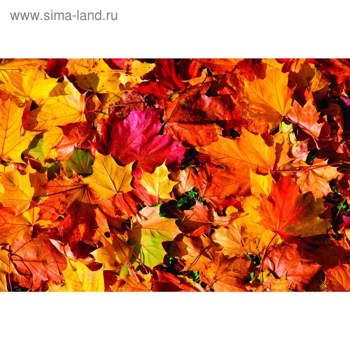 Фотобаннер, 300 × 200 см, с фотопечатью, люверсы шаг 1 м, «Осенние листья 1» фотобаннер 300 × 200 см с фотопечатью люверсы шаг 1 м большие листья