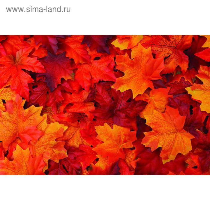 Фотобаннер, 250 × 200 см, с фотопечатью, люверсы шаг 1 м, «Осенние листья»