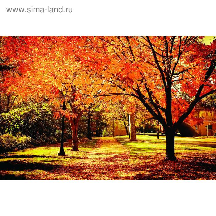 Фотобаннер, 250 × 200 см, с фотопечатью, люверсы шаг 1 м, «Осенняя аллея»
