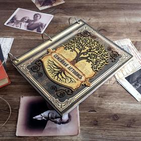 

Родословная книга «Семейная летопись», 51 лист, 20 х 25 см