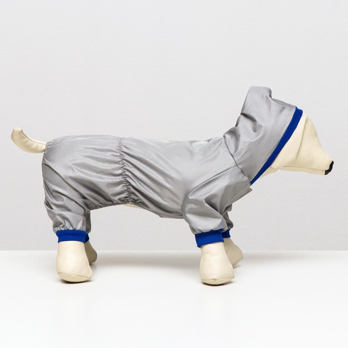 фото Комбинезон для животных, без подклада, 3xl (дс 36-38, ош 36-37, ог 48-52 см), серый