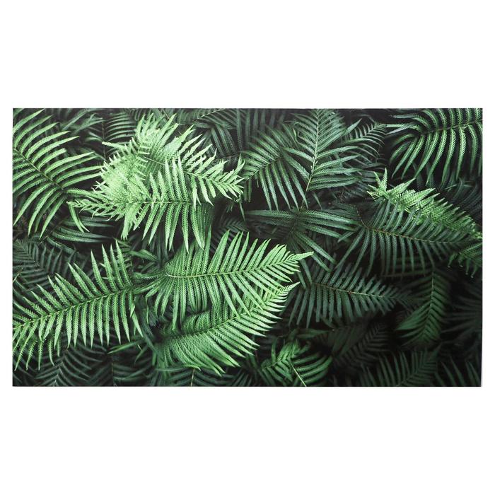 Картина на холсте Листья папоротника 60х100 см картина на холсте листья монстеры 60х100 см