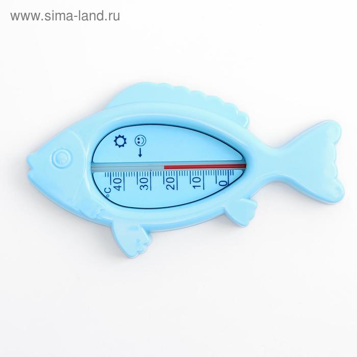 Термометр для измерения температуры воды, детский «Рыбка», цвет голубой