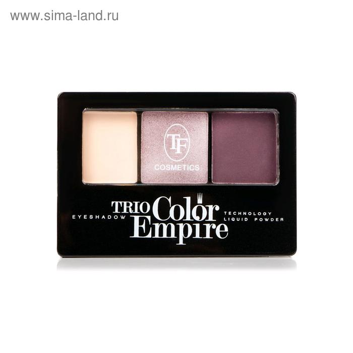 Тени для век TF Trio Color Empire, тон 307 аметистовый