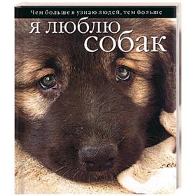 

Я люблю собак
