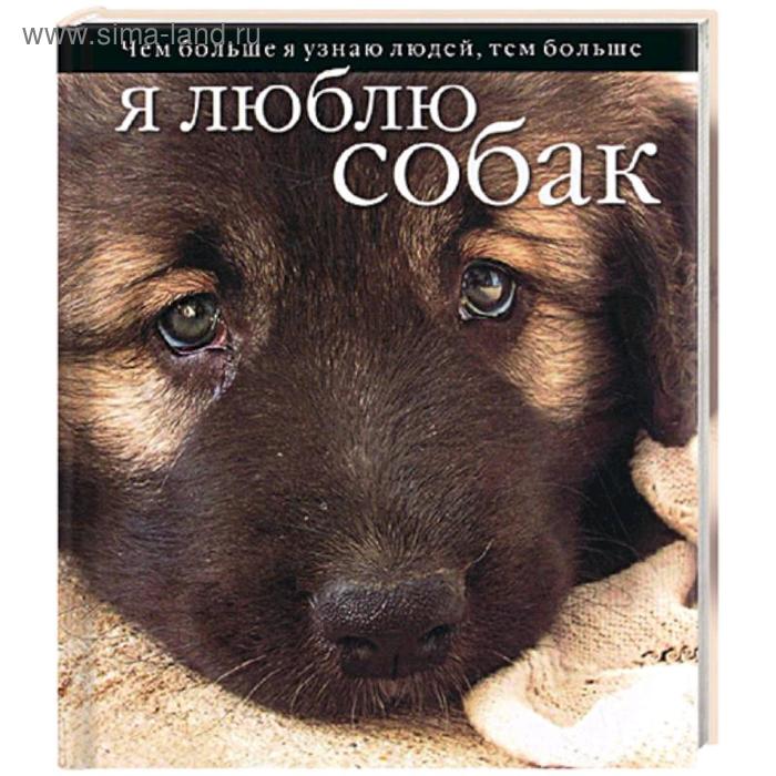 Я люблю собак