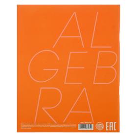 

Тетрадь предметная Letters, 48 листов в клетку «Алгебра», со справочным материалом, УФ-лак, обложка Soft-Touch, блок офсет