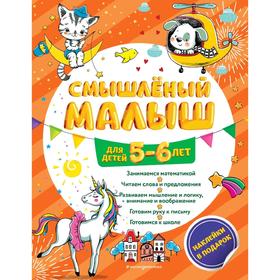 Смышлёный малыш: для детей 5-6 лет (с наклейками)