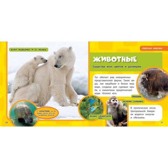 

Весь мир. Моя первая энциклопедия