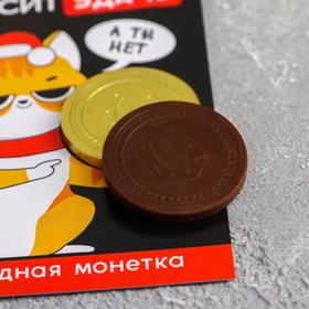 

Монета шоколадная «Приносит удачу»: 6 г