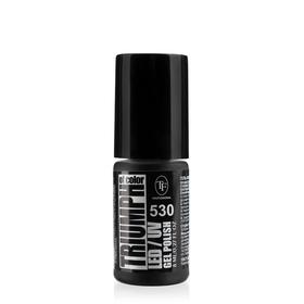 

Гель-лак для ногтей LED/UV TF Triumph of Color, тон 530 чёрный