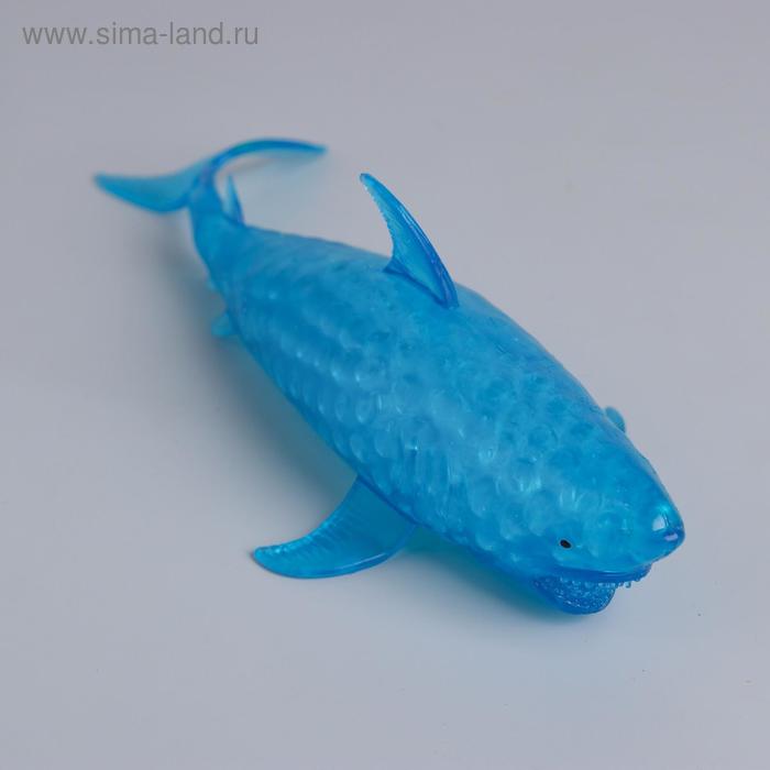 Мялка «Акула», с гидрогелем, цвета МИКС