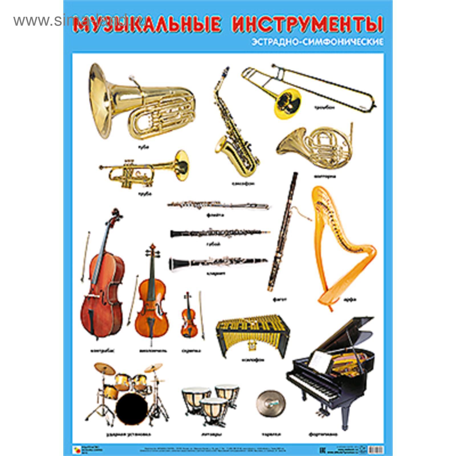 Плакат музыкальные инструменты эстрадно-симфонического оркестра