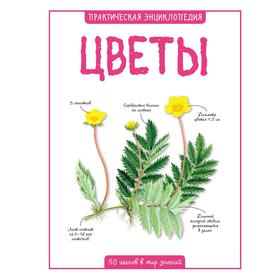 

Цветы, Бедуайер К.