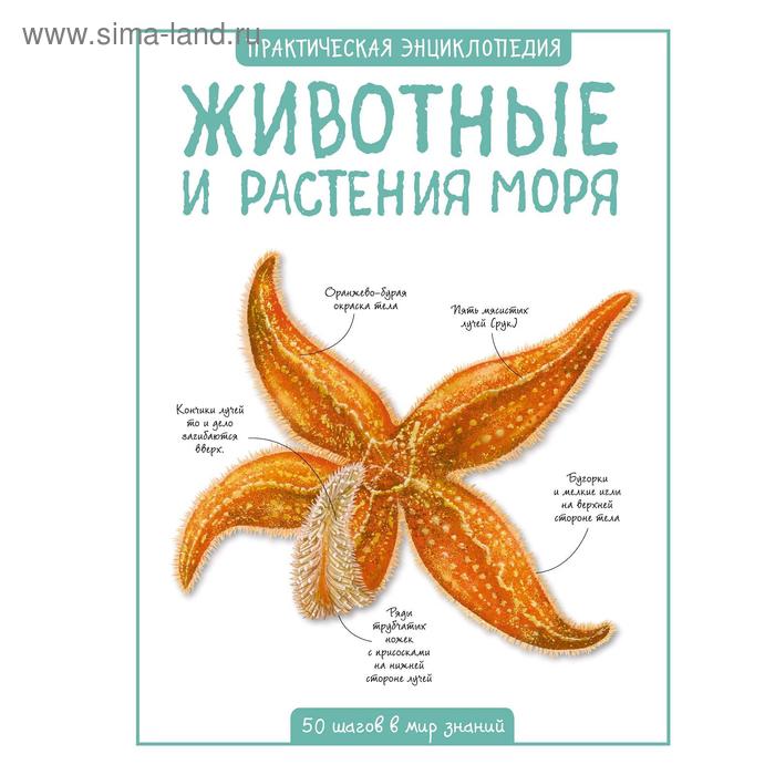 Животные и растения моря Бедуайер К 247₽