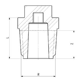 

Заглушка PIPELIFE INSTAPLAST, полипропиленовая, резьбовая, 1/2", красная