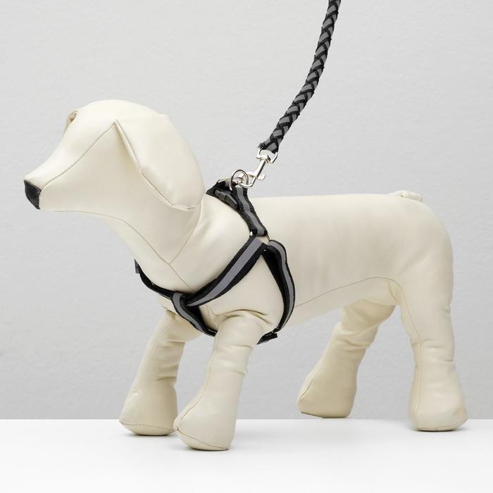 Комплект "НЛО" флюорисцентный поводок 1,0х120 см и шлейка 34-52/36-54 см микс синий, красный