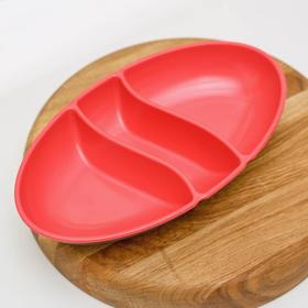 

Менажница, 25,5×15×3см, цвет МИКС