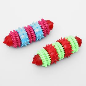 

Игрушка жевательная 15,5 х 5,5 см, микс цветов