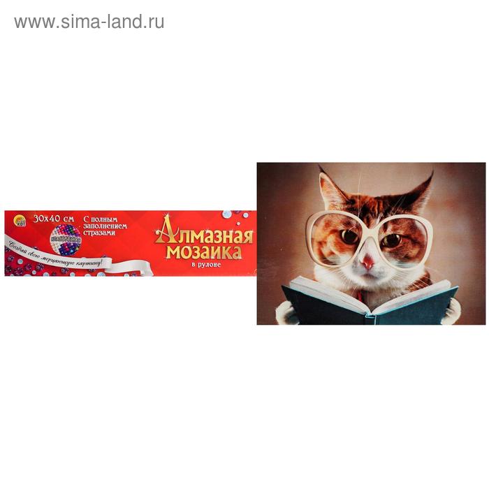 фото Алмазная мозаика 30×40 см, классическая, полное заполнение, б/ подрамника, «кот с книгой» рыжий кот
