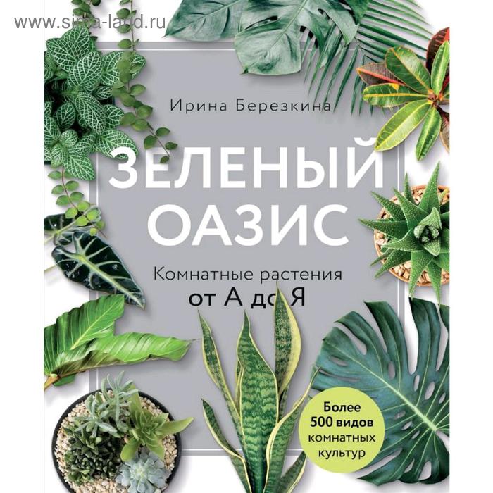 Зеленый оазис. Комнатные растения от А до Я, Березкина И.В. декоративнолистные растения от а до я